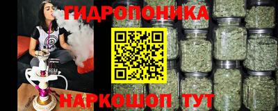 ALPHA PVP Кунгур