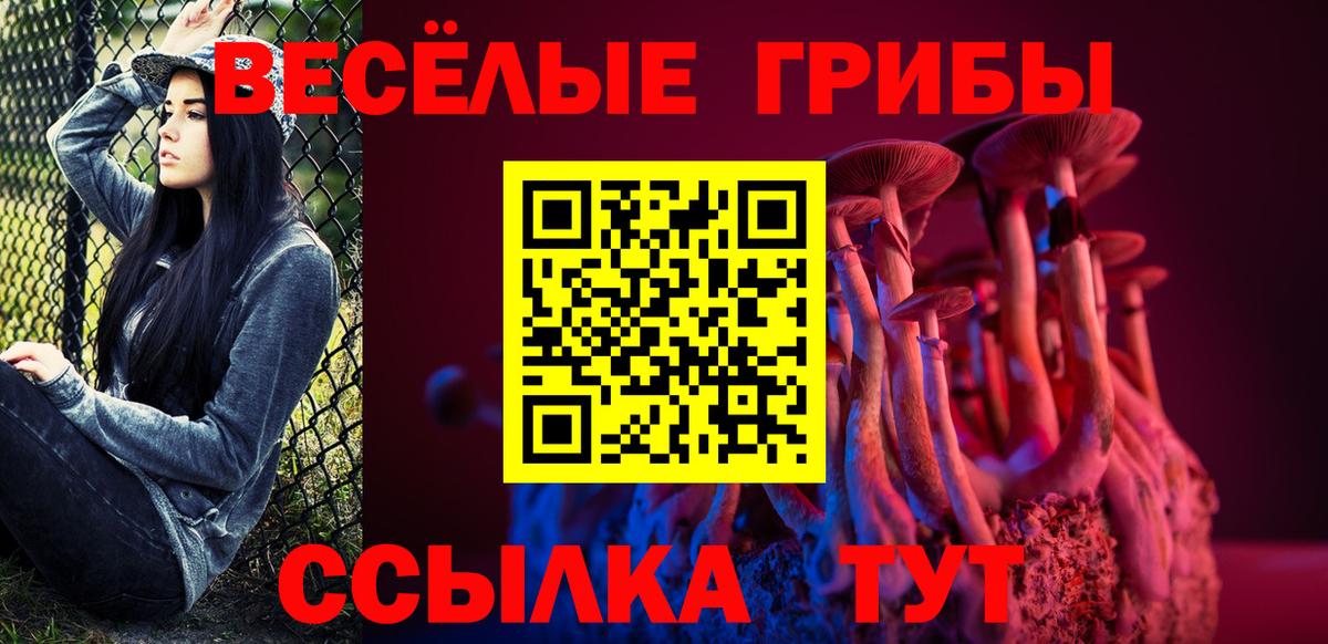 Заволжье  Псилоцибиновые грибы MAGIC MUSHROOMS  Вход с VPN 